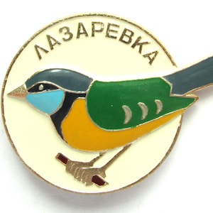 Tit, Vintage collectible badge, Bird Pin, Tomtit, Soviet Vintage Pin, Fauna, Soviet Pin, USSR