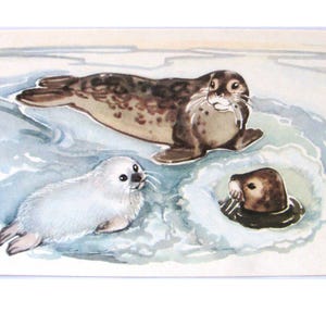 Pusa, Unused Postcard, Animal, Illustration, Winter, Fauna, Soviet Vintage Postcard, Alexeev, 1972, made in USSR, 1970s