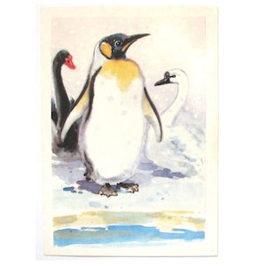 Pinguim, cisnes, cartão postal de parabéns, sem uso, ilustração de Hamburger, sem assinatura, cartão postal soviético vintage, URSS, 1987