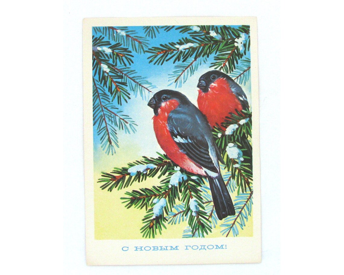 Sowjetische Neujahrspostkarte Bullfinches Weihnachten | Etsy