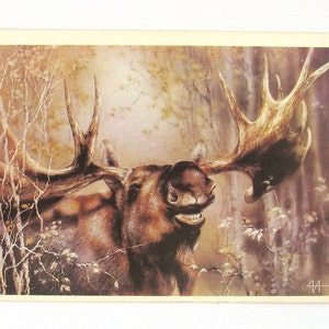 Alce, animal, cartão postal não utilizado, ilustração, fauna, cartão postal vintage soviético, ilustração, Isakov, 1989, feito na URSS, década de 1980