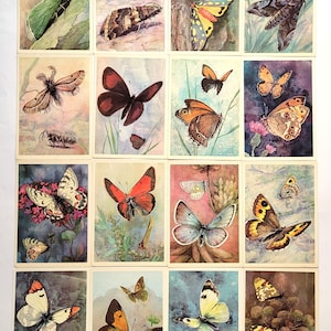 Papillons, lot de 16 cartes postales soviétiques inutilisées, Aristov, sortes de papillons, insectes, russe, illustration, Aristov, URSS, 1975, années 70