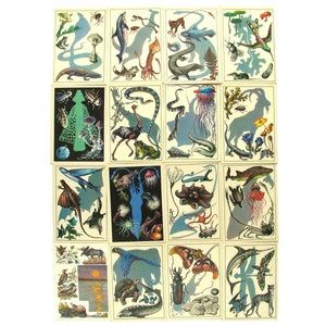 Naturaleza maravillosa, conjunto de 16 postales soviéticas, animales, fauna, peces, delfín, ruso, ilustración, Vorontsova, URSS, 1975