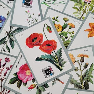 Relógios de flores, Conjunto de 16 cartões postais soviéticos não utilizados, Ilustração, Kurtenko, URSS, década de 1980, 1980