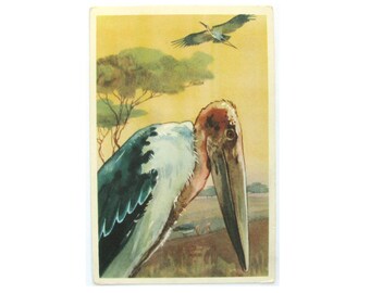 Marabou, Illustration by Aristov, Bird, Unused Postcard, Soviet Vintage Postcard, USSR, Russian, 1968