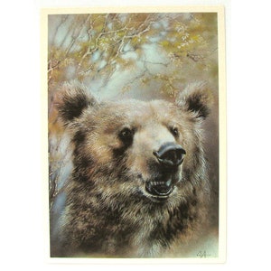 Orso, Animale, Cartolina inutilizzata, Illustrazione, Fauna, Cartolina d'epoca sovietica, Illustrazione, Isakov, 1989, realizzata in URSS, anni '80