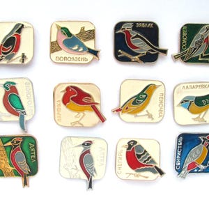 May include: Ten colorful enamel pins featuring different bird species. Each pin has a white background with a black border and the bird's name in Cyrillic script. The birds are depicted in a realistic style with detailed features.