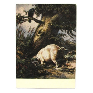O Porco sob o Carvalho, Cartão Postal, Fábula de Kryylov, Não Utilizado, Animal, Cartão Postal Soviético Vintage, Ilustração, Taranov, URSS, 1956, anos 50