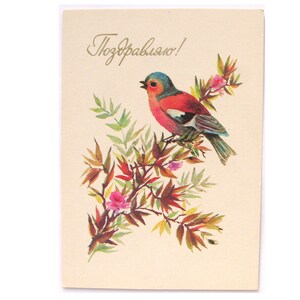 Carte postale de félicitations, inutilisée, oiseau, joyeux anniversaire, illustration par Manilova, non signée, carte postale vintage soviétique, URSS, 1980