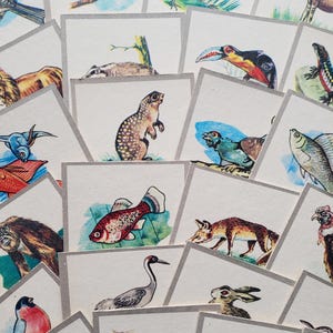 Set of 12 cards with images of animals and birds, Play, Game, Children, Study, Preschool, Cardboard cards, USSR, 70s, 80s