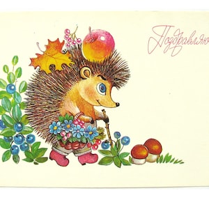 Postal de felicitación, erizo, sin usar, postal vintage soviética, ilustración, Zhebeleva, fabricada en la URSS, 1989, década de 1980, años 80