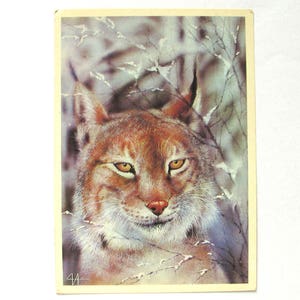 Carte postale vintage soviétique, Lynx, hiver, Noël, animal, carte postale inutilisée, illustration, Isakov, 1989, URSS