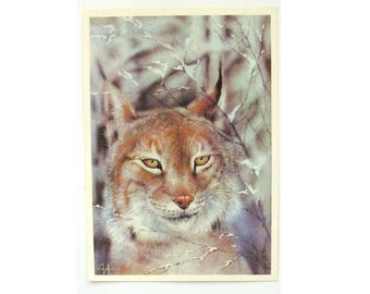 Sovjet vintage ansichtkaart, Lynx, winter, kerstmis, dier, ongebruikte ansichtkaart, illustratie, Isakov, 1989, USSR