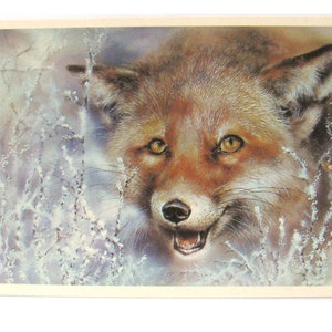 Renard, animal, carte postale inutilisée, illustration, hiver, faune, carte postale vintage soviétique, illustration, Isakov, 1989, fabriqué en URSS, années 1980
