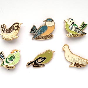 Bird Pins, Pick from Set, Soviet Vintage Pin, Kind, Animal, Fauna, Cute, Vintage collectible badge, Russian, Soviet Pin, USSR, 180s