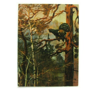 Tétras des bois, carte postale non utilisée, oiseau, carte postale vintage soviétique, illustration, Blinkov, russe, non signée, URSS, 1967