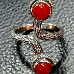 May include: A silver ring with a twisted design and two red carnelian gemstones.