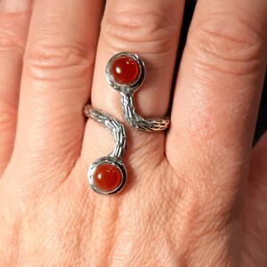 May include: A silver ring with a snake-like design and two round carnelian stones.
