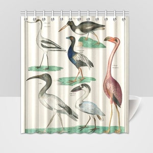 Zoology Birds Plate Animal Shower Curtain