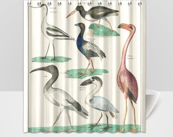 Zoology Birds Plate Animal Shower Curtain