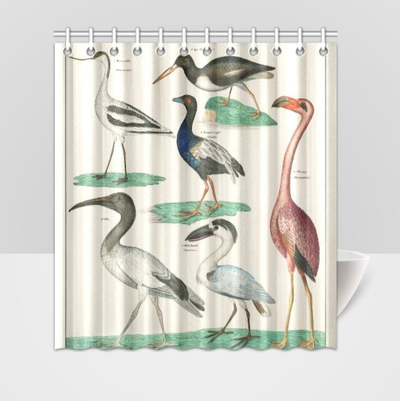 Vintage Zoology Birds Plate Animal Shower Curtain Etsy