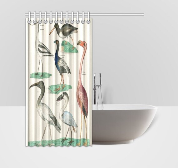 Vintage Zoology Birds Plate Animal Shower Curtain Etsy