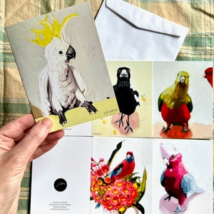 Set of 5 gift cards featuring original art by Kirsty McIntyre; Still life with Australian birds and flowers