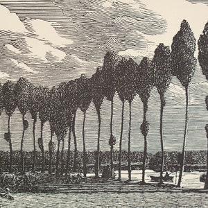 GWEN RAVERAT 1959 Wood Engraving &#39;Poplars&#39; Printed From the Original Hardwood Block