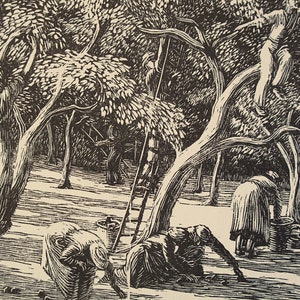 GWEN RAVERAT 1959 Wood Engraving &#39;Apple Pickers&#39; Printed From the Original Hardwood Block