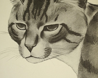 1932 ZHENYA GAY Cats 'Old Warrior' Print from 1st Edition of 'Town Cats, A Book of Drawings'