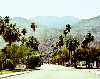 photography, Palm Springs, California, midcentury, modern, nostalgic, Alexander, Eichler, Eames, desert, palm tree, architecture