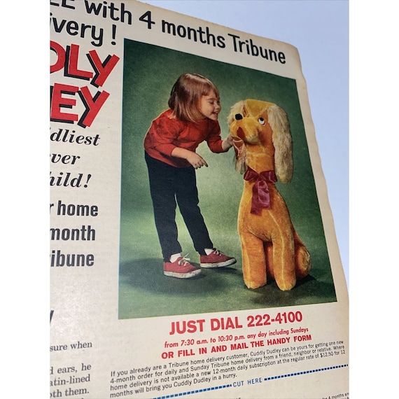 Cuddly Dudley Stuffed Animal