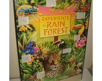 Experience the Rain Forest Mystic Inc. Promo Poster VTG Nature Conservatory