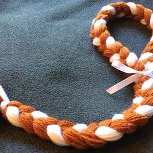 May include: A long, braided yarn tail with a white ribbon tied around the middle. The yarn is brown and white, and the tail is about 2 feet long.