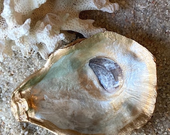 Hand-Painted Oyster Shell Ring Dish Beach Decor Jewelry Organizer