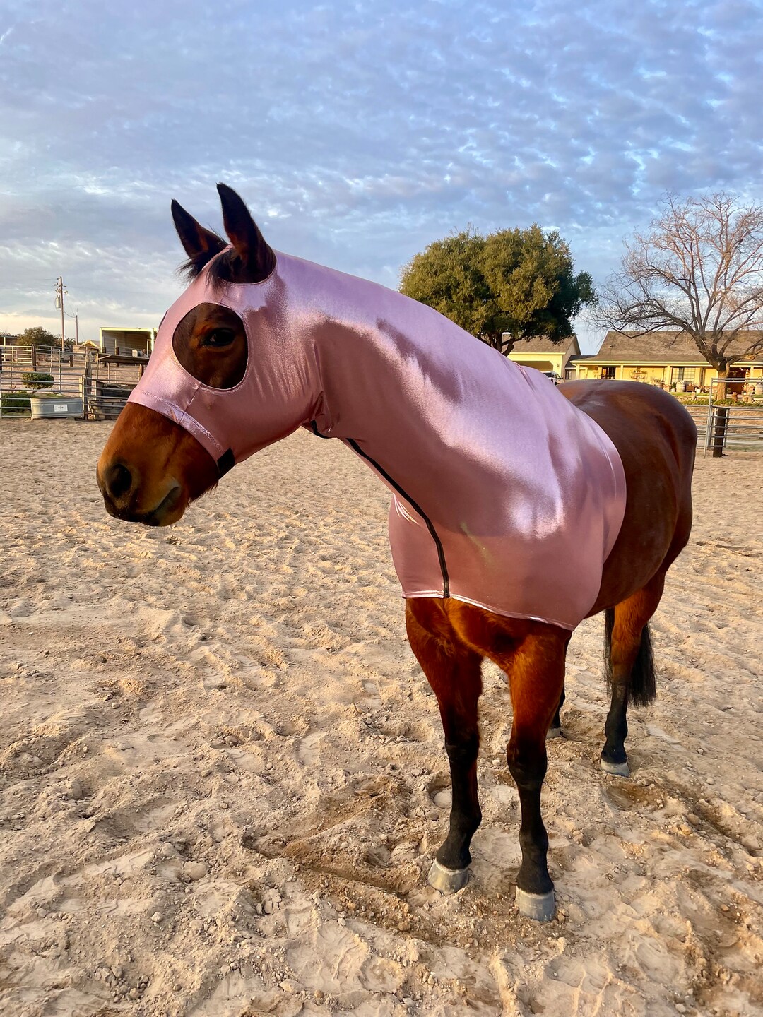 Sleazy Sleepwear Horse Solid Stretch Full Body – Brasshalter