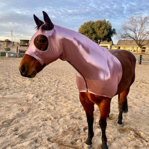 Sparkly Colors Sleazy Horse Hoods- One of a kind Colors!