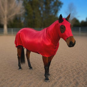 Full Body Horse Sleazies- One of a kind Sparkly Colors and Prints!