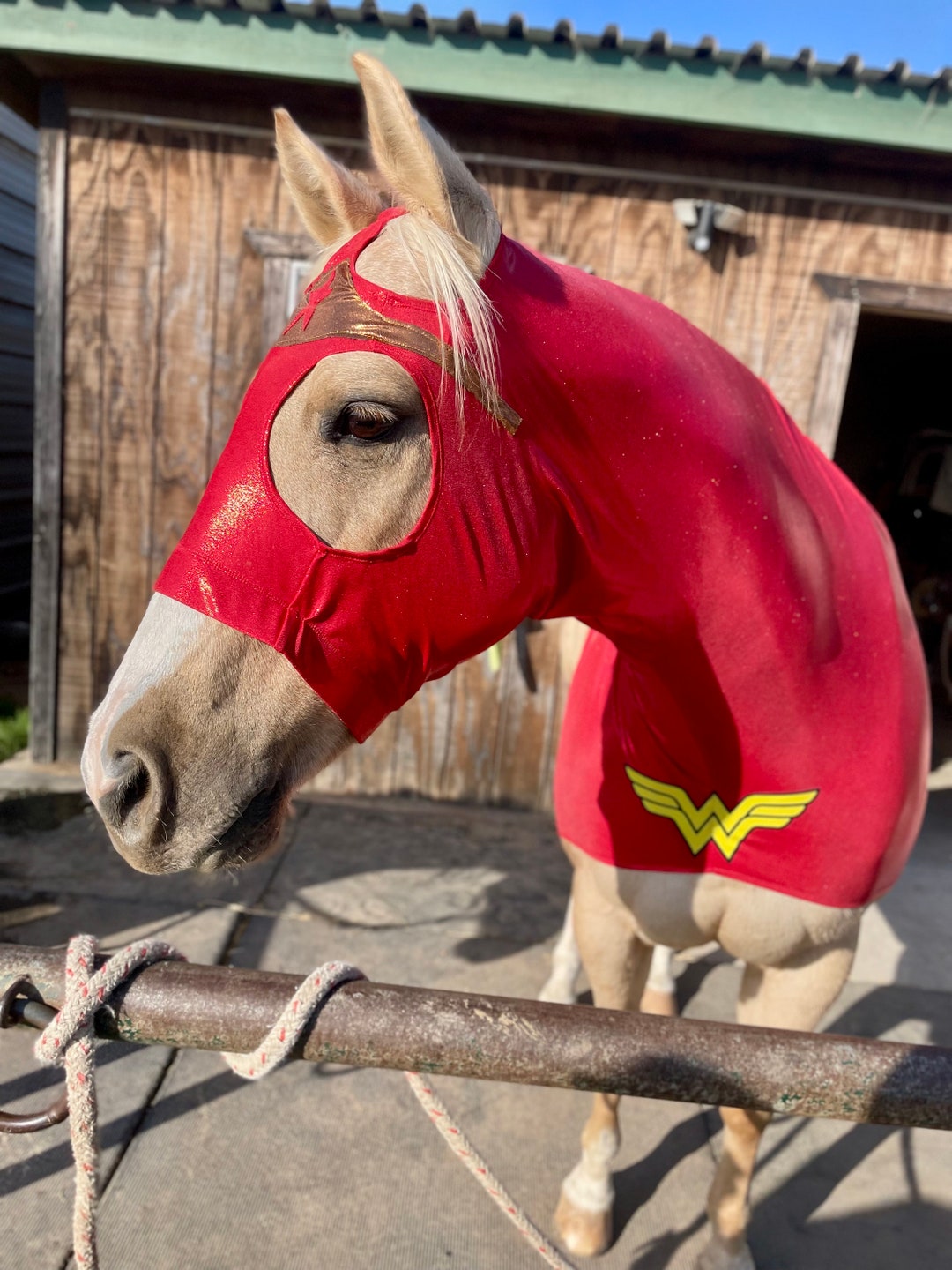Déguisements Cheval Pas Chers]Achat en Ligne
