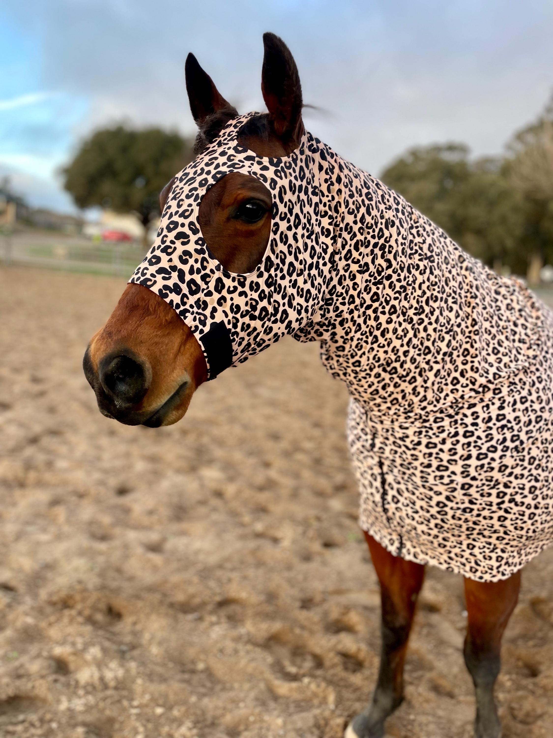 Leopard Full Body Sleazy for Horses - Etsy