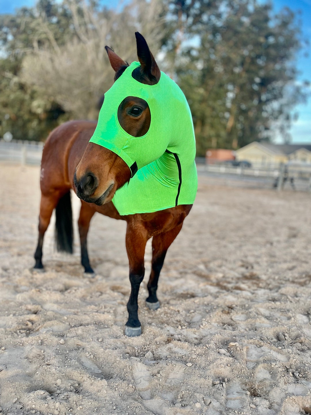 Sleazy Hood For Horses - Green, Size S (Fits 500-800 Lb Horses)