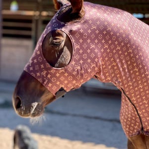 Designer Brown Horse Sleazy Hood