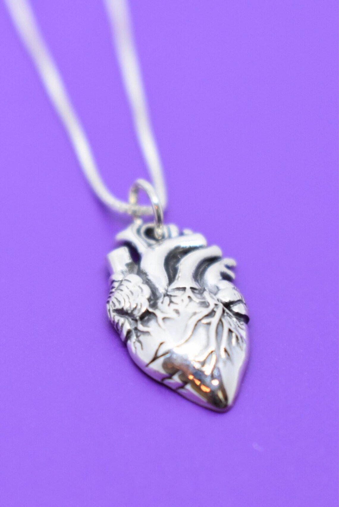 Anatomical Heart Necklace Human Heart Necklace Medical Etsy