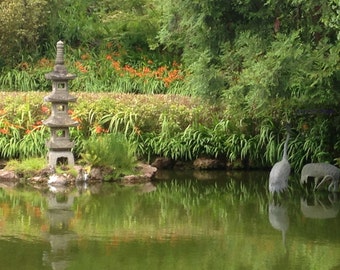 Japanese Zen Garden Photo, San Francisco California Serene Koi fish Pond Photography, DIY Retirement Party Scrapbook Decor, Wall Hanging Art