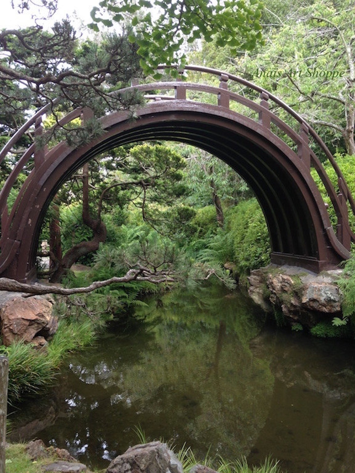 Japanese Garden Bridge San Francisco California Infinity Circle Bridge Zen Garden Photo, Wall