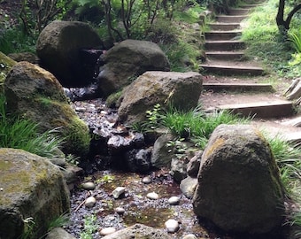 Zwei Straßen Diverged Foto von Botanischen Garten San Francisco Kalifornien inspirierende Wandkunst, Wege Felsen Bäume Wand-Dekor, Home Decoration