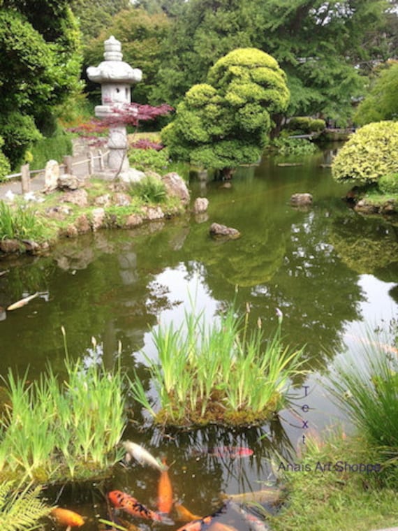 Meditative Zen Garden with Volcanic Stones Meditative Zen Garden with Volcanic Stones