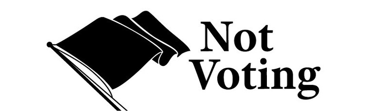 Not Voting Bumper Sticker image 4