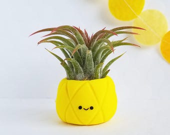 Pineapple Air Plant Holder, Gift For Her, Best of Summer, Tropical Decor, Birthday Gift, Air Plant Gift, Pineapple Gift, Pineapple Party
