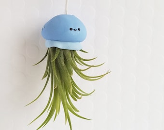 Jellyfish Air Plant, Valentine Gift, Hanging Air Plant, Air Plant Gift, Best of Summer, Ocean Decor, Air Plant Holder, Office gift